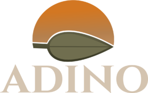 Adino Logo light 1080p